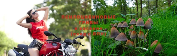 марихуана Абинск